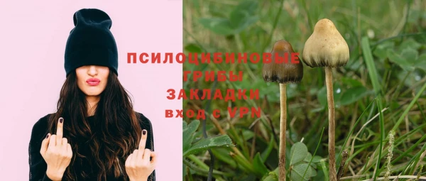 сатива Богородск