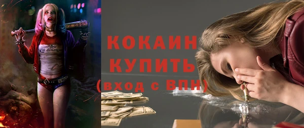 сатива Богородск