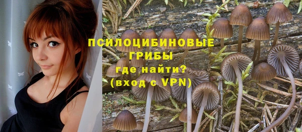 сатива Богородск