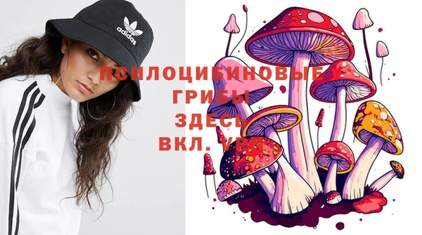 стаф Богородицк